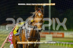 2026_PACEPIX_GP04092026_Race9_TexasStorm_WIN_WEB-27