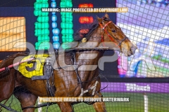 2026_PACEPIX_GP04092026_Race9_TexasStorm_WIN_WEB-6