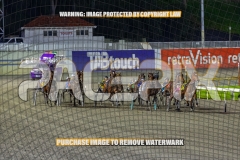 2026_PACEPIX_GP04092026_Race9_TexasStorm_WIN_WEB-7