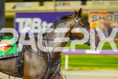 2025_PACEPIX_GP23012026_Race9_TheBeachMaster_WIN_WEB-11
