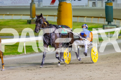 2025_PACEPIX_GP23012026_Race9_TheBeachMaster_WIN_WEB-12