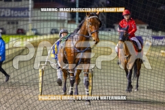 2026_Pacepix_GP23102026_Race9_TreacherousPrince_WIN_WEB-15