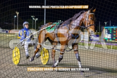 2026_Pacepix_GP23102026_Race9_TreacherousPrince_WIN_WEB-17