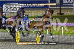 2026_Pacepix_GP23102026_Race9_TreacherousPrince_WIN_WEB-2