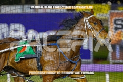 2026_Pacepix_GP23102026_Race9_TreacherousPrince_WIN_WEB-4