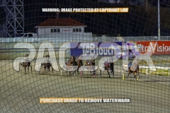 2026_Pacepix_GP23102026_Race9_TreacherousPrince_WIN_WEB-5