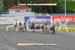 2026_PACEPIX_GP27072026_Race9_TyphoonTreasure_WIN_WEB-1