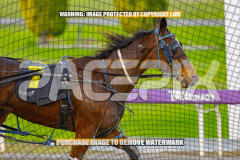 2026_PACEPIX_GP27072026_Race9_TyphoonTreasure_WIN_WEB-11