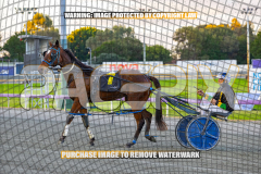 2026_PACEPIX_GP27072026_Race9_TyphoonTreasure_WIN_WEB-14