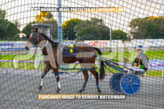 2026_PACEPIX_GP27072026_Race9_TyphoonTreasure_WIN_WEB-15
