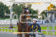 2026_PACEPIX_GP27072026_Race9_TyphoonTreasure_WIN_WEB-16