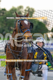 2026_PACEPIX_GP27072026_Race9_TyphoonTreasure_WIN_WEB-17