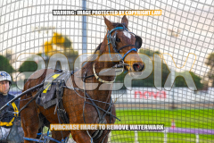 2026_PACEPIX_GP27072026_Race9_TyphoonTreasure_WIN_WEB-18