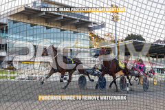 2026_PACEPIX_GP27072026_Race9_TyphoonTreasure_WIN_WEB-3