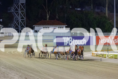 2025_PACEPIX_GP19122025_RACE9_WanderingGirl_WIN_WEB-1