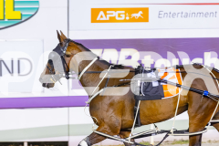 2025_PACEPIX_GP19122025_RACE9_WanderingGirl_WIN_WEB-11