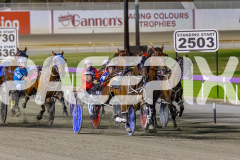 2025_PACEPIX_GP19122025_RACE9_WanderingGirl_WIN_WEB-3