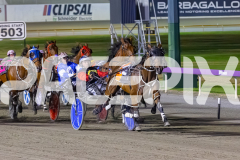 2025_PACEPIX_GP19122025_RACE9_WanderingGirl_WIN_WEB-4