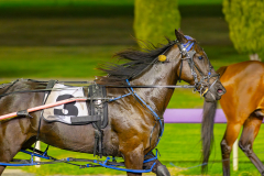 2025_PACEPIX_GP22042025_Race9_WayOfTheWorld_WIN_WEB-14