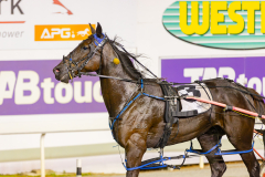 2025_PACEPIX_GP22042025_Race9_WayOfTheWorld_WIN_WEB-16
