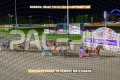 2026_PACEPIX_GP02102026_Race9_WeWalkByFaith_WIN_WEB-1