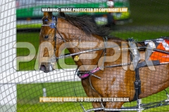 2026_PACEPIX_GP02102026_Race9_WeWalkByFaith_WIN_WEB-10