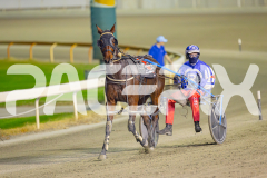 2025_PACEPIX_GP13052025_Race9_Welloiled_WIN_WEB-12