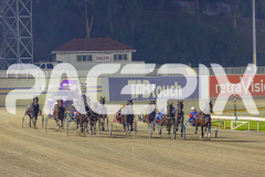 2025_PACEPIX_GP13052025_Race9_Welloiled_WIN_WEB-3