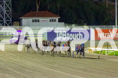 2026_PACEPIX_GP18042026_RACE9_WishingBelle_WIN_WEB-10