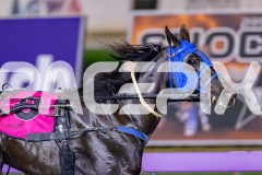 2026_PACEPIX_GP18042026_RACE9_WishingBelle_WIN_WEB-5