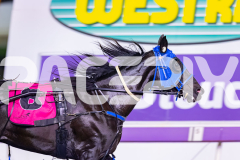 2026_PACEPIX_GP18042026_RACE9_WishingBelle_WIN_WEB-6