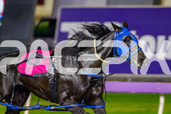 2026_PACEPIX_GP18042026_RACE9_WishingBelle_WIN_WEB-9