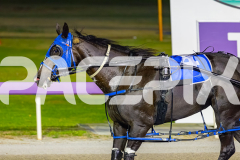 2026_PACEPIX_GP20032026_RACE9_WishingBelle_WIN_WEB-28