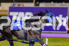 2026_PACEPIX_GP20032026_RACE9_WishingBelle_WIN_WEB-5