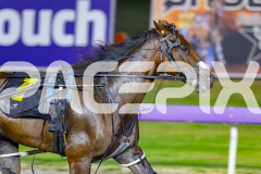 2026_PACEPIX_GP20032026_RACE9_WishingBelle_WIN_WEB-9