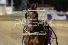 Write-Rite-Right_25-09-2026_WIN_Gloucester-Park_9__02