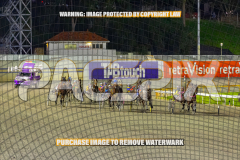 2026_Pacepix_GP31072026_Race9_Zlato_WIN_WEB-1