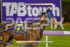 2026_Pacepix_GP31072026_Race9_Zlato_WIN_WEB-10