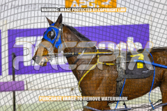 2026_Pacepix_GP31072026_Race9_Zlato_WIN_WEB-12
