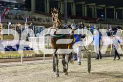2025_PACEPIX_GP07112025_RACE10_FullSwingDenario_WIN_WEB-18