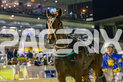 2025_PACEPIX_GP07112025_RACE10_FullSwingDenario_WIN_WEB-19