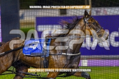 2026_PACEPIX_GP04092026_Race6_HezTheBoss_WIN_WEB-2