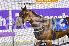 2026_PACEPIX_GP04092026_Race6_HezTheBoss_WIN_WEB-33