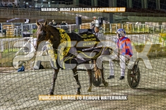 2026_PACEPIX_GP04092026_Race6_HezTheBoss_WIN_WEB-39