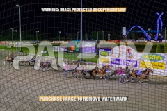 2026_PACEPIX_GP04092026_Remote_WEB-4