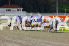 2026_PACEPIX_GP29052026_RACE5_RunkleCrunch_WIN_WEB-1