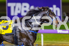 2026_PACEPIX_GP29052026_RACE5_RunkleCrunch_WIN_WEB-17