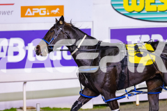 2026_PACEPIX_GP29052026_RACE5_RunkleCrunch_WIN_WEB-19