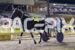 2026_PACEPIX_GP29052026_RACE5_RunkleCrunch_WIN_WEB-22