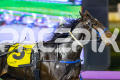 2026_PACEPIX_GP29052026_RACE5_RunkleCrunch_WIN_WEB-4